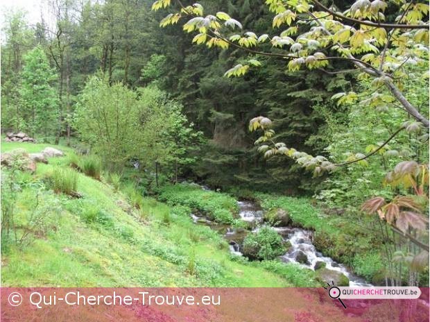 petite annonce rencontre vosges